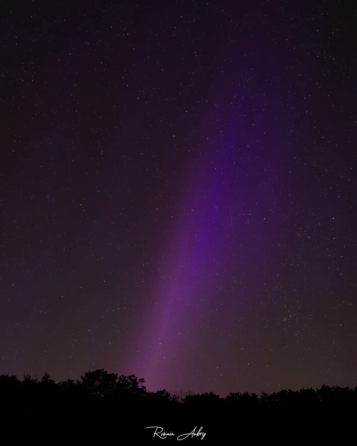 A lone mauve-pink ribbon of light crossing a starry sky above a treeline. A probable STEVE.